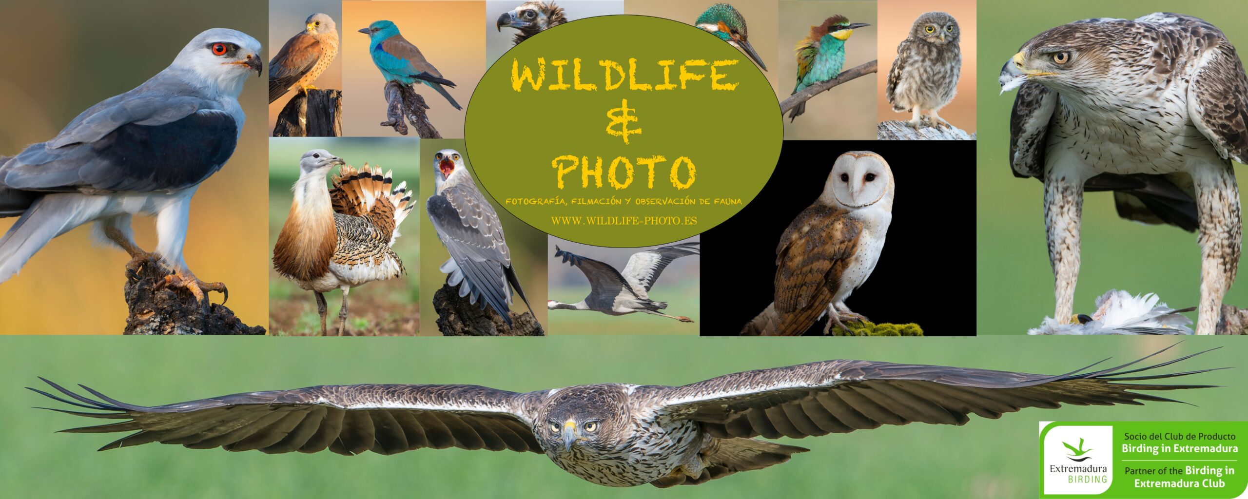 WILDLIFE & PHOTO